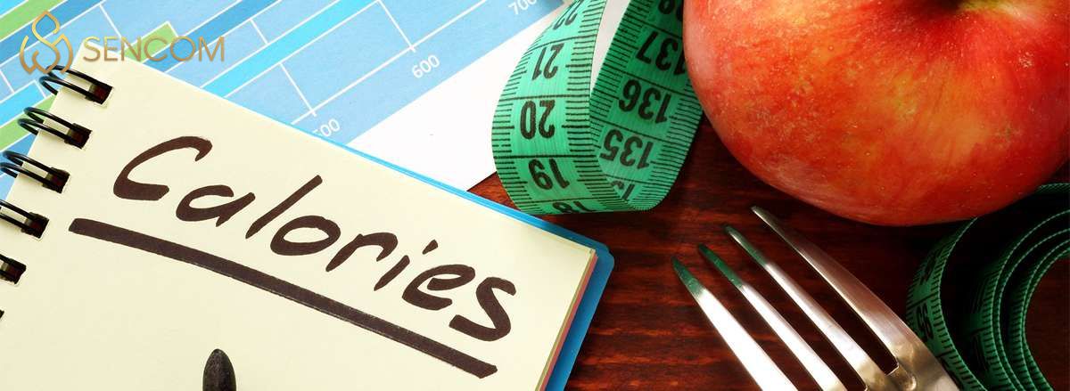 Tăng cân hay giảm cân đều cần kiểm soát calories từ thưc phẩm hằng ngày. Tham khảo ngay bảng tính calories trong thức ăn qua bài viết...