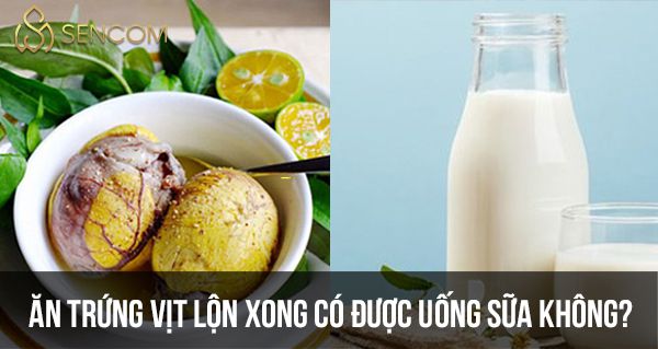 Trứng vịt lộn là món ăn quen thuộc với người Việt. Tuy nhiên Ăn trứng vịt lộn xong có nên uống sữa được không? Hãy cùng tham khảo bài viết...
