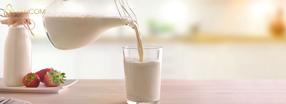 Nếu bạn đang băn khoăn khi tìm hiểu về việc uống sữa tươi trước khi đi ngủ có hại không? hãy cùng Sencom tìm hiểu chi tiết bài viết...