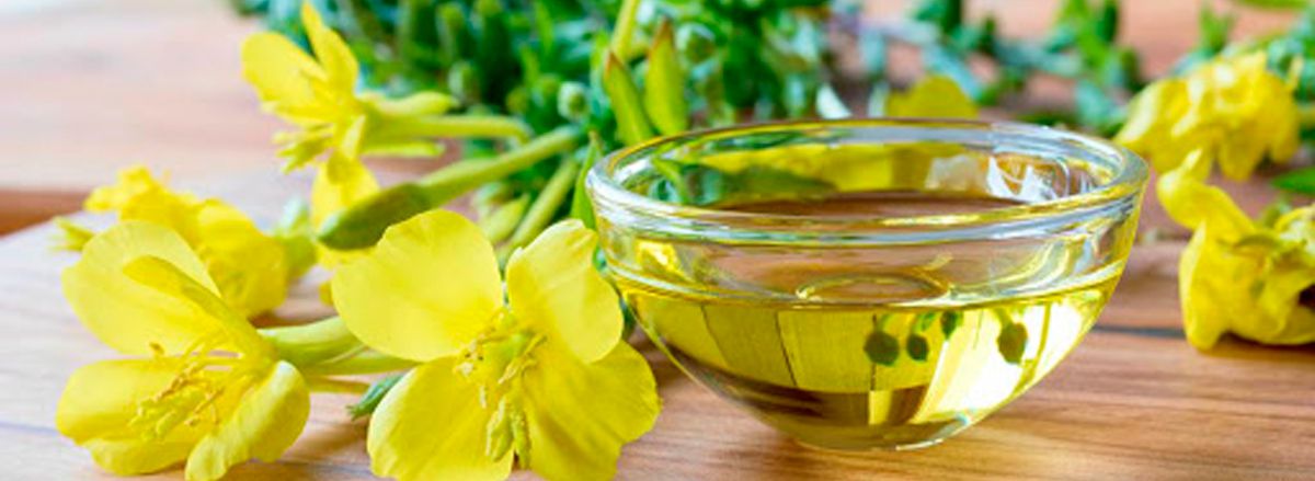 Chắc hẳn nhiều bạn đã nghe qua về tinh dầu hoa anh thảo, vậy bạn đã biết rõ lợi ích của dầu hoa anh thảo chưa? Cùng Sencom tìm hiểu qua bài viết...