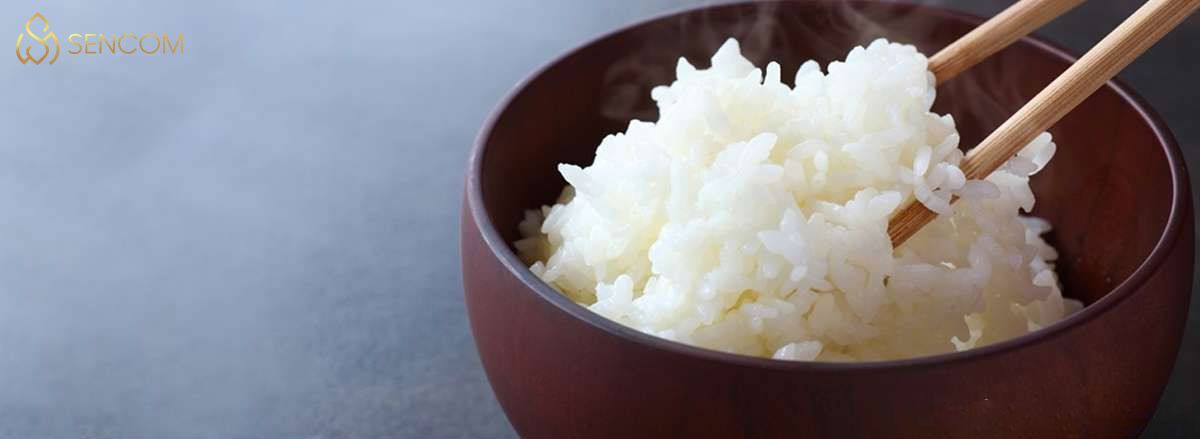 Nếu bạn thắc mắc một bát cơm trắng bao nhiêu calo, nên ăn cơm trắng hay gạo lứt tốt hơn thì hãy cùng Sencom tìm hiểu qua bài viết...