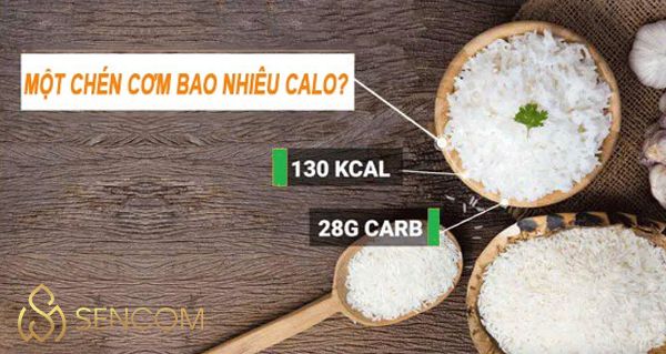 Nếu bạn thắc mắc một bát cơm trắng bao nhiêu calo, nên ăn cơm trắng hay gạo lứt tốt hơn thì hãy cùng Sencom tìm hiểu qua bài viết...
