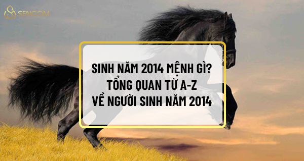 Nếu người thân của bạn, hay chính bạn sinh năm 2014 , chắc chắn khi tìm hiểu về những người sinh năm 2014 mệnh gì trong phong thủy Việt Nam thì hãy cùng...