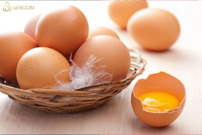 Nếu bạn đang băn khoăn câu hỏi ăn trứng gà sống có tốt không thì hãy cùng Sencom giải đáp chi tiết qua bài viết ngay sau đây nhé...