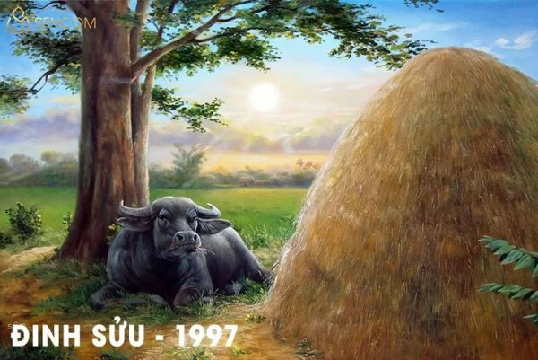 Sinh năm 1997 mệnh gì Giải mã tử vi trọn đời Đinh Sửu 1997