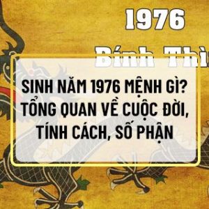 Người sinh năm 1976 mệnh gì , là tuổi con gì? Công danh, tình duyên, gia đạo ra sao? Và cần phải hợp tác với tuổi nào để giảm thiểu rủi ro và mang đến vận...