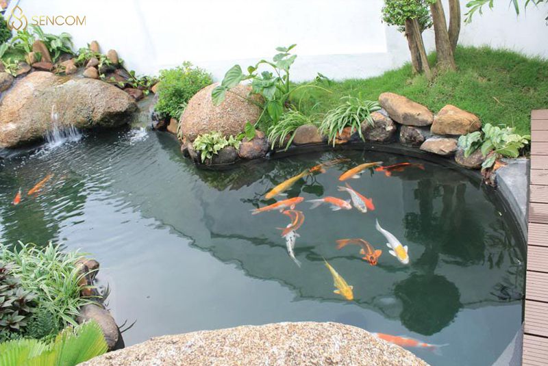Đối với những ai có sở thích nuôi cá và trang trí tiểu cảnh sân vườn chắc hẳn không còn xa lạ với thiết kế mẫu hồ cá xi măng đẹp. Nếu bạn đang tìm kiếm một...