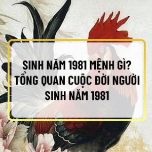 Bạn đang thắc mắc không biết sinh năm 1981 mệnh gì ? Có tử vi như thế nào? Tính cách, vận mệnh của những người này ra sao?.... Để có thể giải đáp được những...