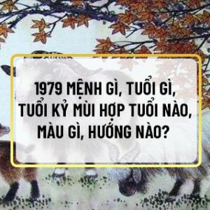 Những người sinh năm 1979 mệnh gì , tuổi nào, hợp với tuổi nào, màu gì, hướng nào? chắc hẳn là một vấn đề được rất nhiều người quan tâm. Dựa trên những quy...