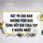 Nếu bạn đang phân vân tìm những món quà tặng sếp khi chia tay thì hãy cùng Sencom tham khảo chi tiết qua bài viết ngay sau đây...