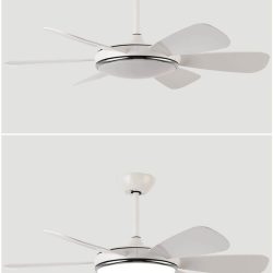 Alternative view of Quạt Trần Hiện Đại SC020- QT