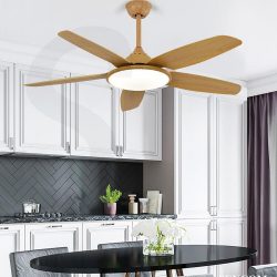 Quạt Trần Hiện Đại SC029- QT