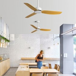 Quạt Trần Hiện Đại SC08- QT