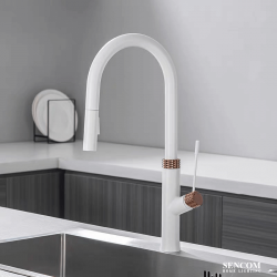 Vòi Rửa Bát M1930