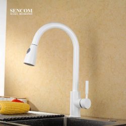 Vòi Rửa Bát M1896