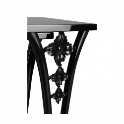 Alternative view of Camelias