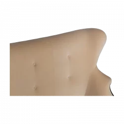 Alternative view of Ginger