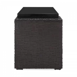 Alternative view of Longines