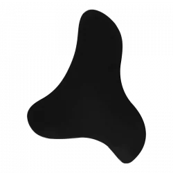 Alternative view of Mantua