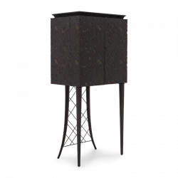 Alternative view of Oberon