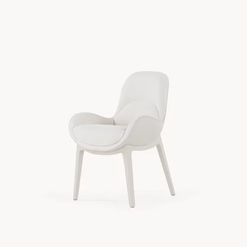 Alternative view of Opus