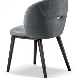 Alternative view of Shiba