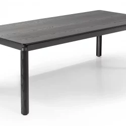 Alternative view of Willow