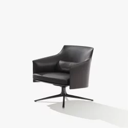 Alternative view of STANFORD