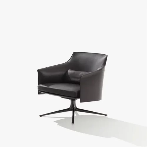 Alternative view of STANFORD