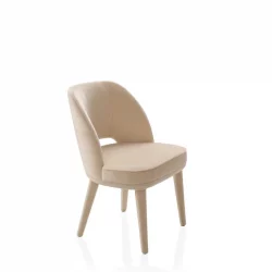 Alternative view of PENELOPE